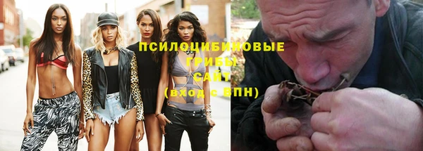 соль ск Алексеевка