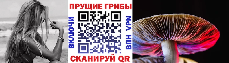Псилоцибиновые грибы прущие грибы  OMG   Островной 